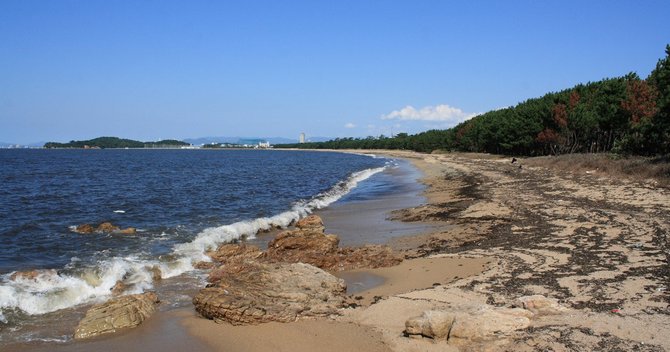 モンゴル帝国から日本を救った北条時宗が「英雄」とは言い難いワケ – ダイヤモンド・オンライン